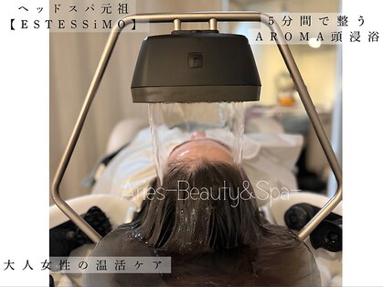 アリエス(Aries)の写真