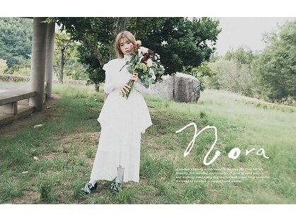 ノラ(Nora)の写真