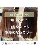 うるつや目指すなら艶髪改善カラーエステ！
