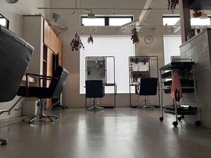 エシレ(esille.)の写真