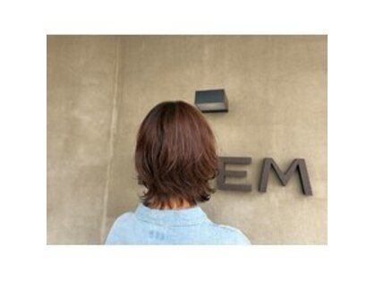 ニーム(NEEM)の写真