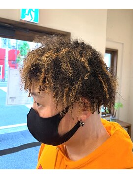 ノーチラスヘア(nautilus hair) ドレッドかけるまでの道のりの途中の人