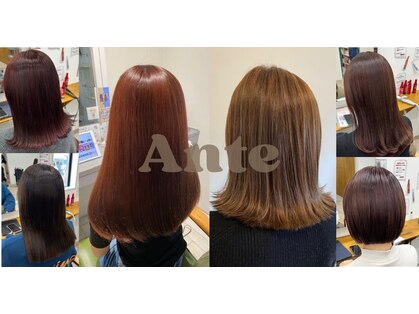 ルプラ アンテ(le-pla Ante)の写真