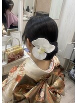 ルナクレセント (Luna crescent) シニヨン