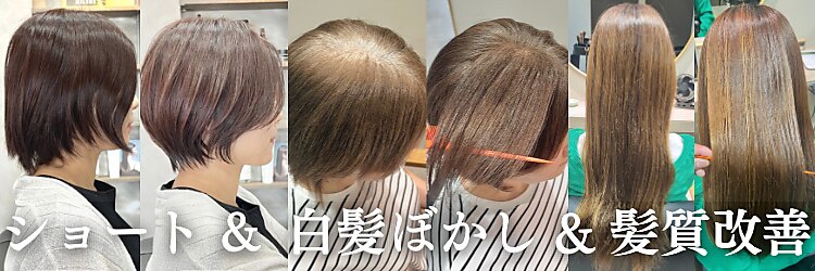 ミルシェ(MILSHE)のサロンヘッダー
