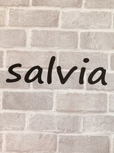 サルビア(Salvia) サルビア スタッフ