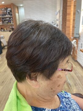 アートイン 【70.80代】ショートレイヤー ヘナカラーダブル