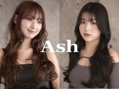 アッシュ 鶴見店(Ash)の写真
