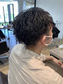 エヌプラス(N+) メンズヘアフェザーパーマサーフカール刈り上げセンターパート