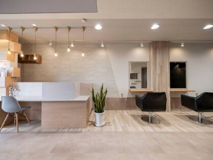 ステム(stem)の写真