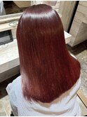 ブリーチなし/ボルドーカラー/