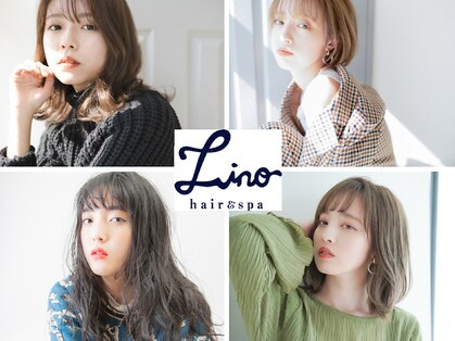 リノ 船橋(Lino)の写真