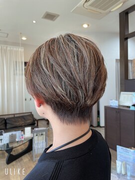 アライアンスガーデン(ALLIANCE GARDEN) カラー