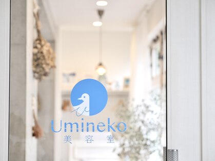 ウミネコ美容室 センター南店(Umineko美容室)の写真
