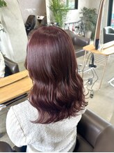 スタンス(STANCE) bordeaux  color