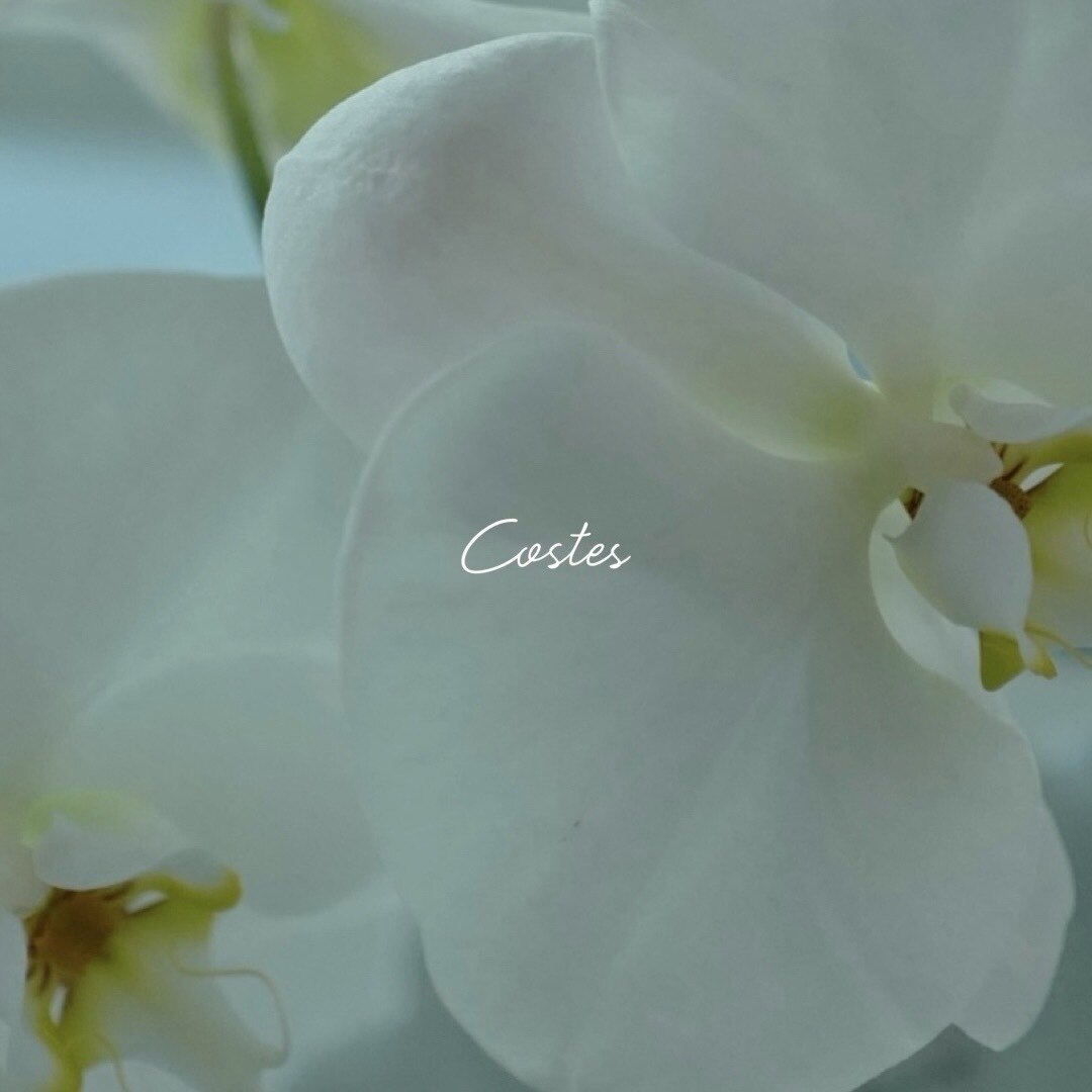 カット×“premiumケア”カラー（炭酸泉付き）