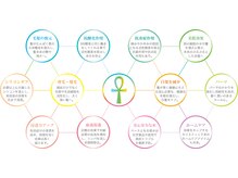 その他のどの施術にもホリスティックメニューは対応可能です。