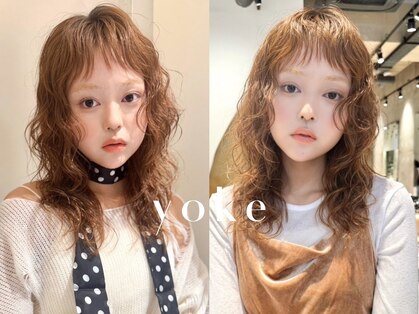 ヨーク(yoke)の写真