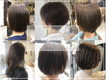 エクロジエ(Eclosier)の写真