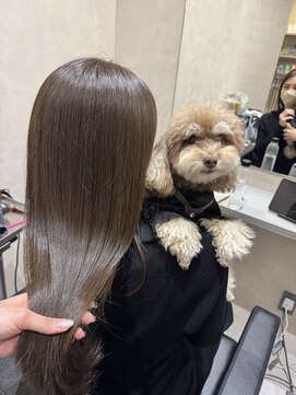 ドッグマニアピンチアオヤマ(DOGMANIA PiNCH AOYAMA) オリーブベージュカラー