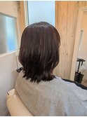 ツヤクビレミディアム