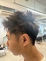 ジエクト ヴィシア(The Ect VIXIA)&nbsp;カラー入門にも！スパイキーショートハイライト