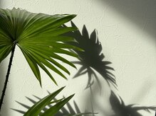 ザパーク(THE PARK)の雰囲気（開放感たっぷりの窓から差し込む日差しと沢山の植物達が◎）