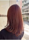 おとなセミディ