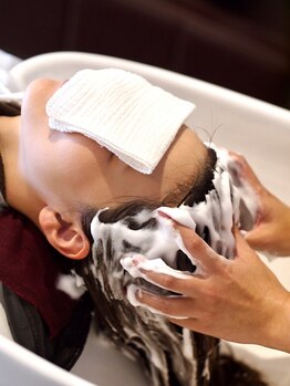 パンヘア(PANHAIR)の写真/炭酸泡の力で皮脂と汚れを浮かせ、フケ・かゆみを効果的に防ぎ、頭皮と毛髪を健やかに導きます。