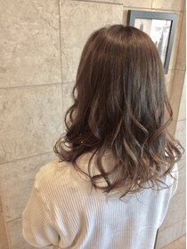 ステラプレミアム(Steller PREMIUM) Ａｓｈ×Ｍｅｓｈ