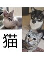 タカ 田町店(TAKA) 自宅で３匹の猫を飼っています♪