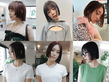 フェイヴィーズ(FavyS)の写真