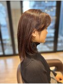 キレイなお姉さん