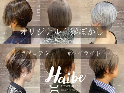 レザボアハイブ(reservoir Haibe)の写真