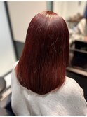 レッドカラー/ブリーチなし/暖色カラー/艶カラー/高発色カラー