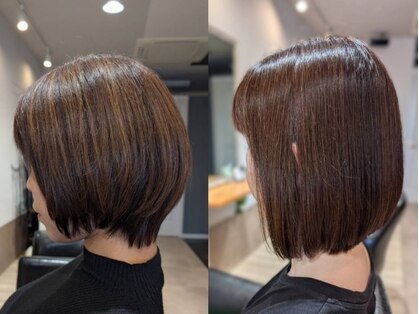 ステム(stem)の写真