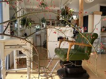 サロンド シェル フー コトリーの雰囲気（［天気の良い日は心地よい風が抜けるカットスペース］）