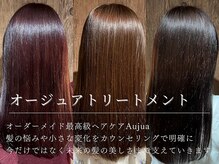 アシュリー(ashuley)の雰囲気（最高級ケアAujua【オージュア】取り扱いサロン<髪質改善>）