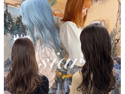 シアー(siar)の写真