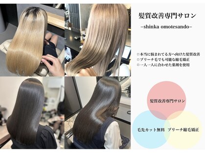 シンカ(shinka)の写真