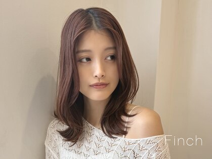フィンチ(Finch)の写真