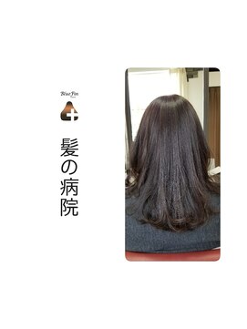 ブルーフィン シセロ(Blue Fin cicero) 透明感/艶カラー/暗髪黒髪/トリートメント/髪質改善/ツヤ髪セミ