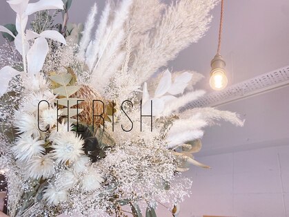 チェリッシュ(Cherish)の写真