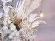 チェリッシュ(Cherish)の写真