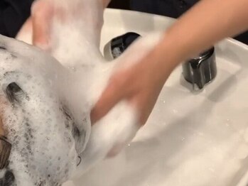 ジーヘアー(G・HAIR)の写真/頭皮から健康な髪へ導く◇マイクロバブルのシャワーで頭皮の汚れを落とし、髪も地肌も心もリフレッシュ。