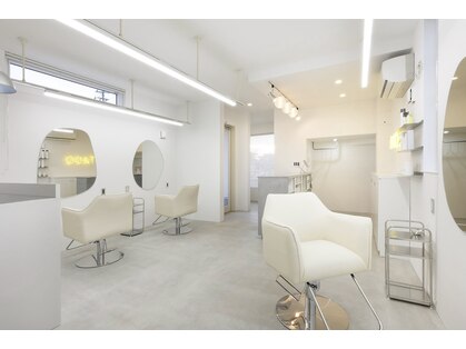 タド(TADO)の写真