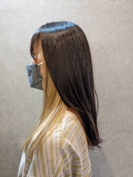 ステディー(Steady) インナーカラー