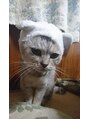 アクイスオバタ(AQICE obata) 猫好きです！