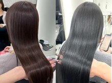 アルドーレヴェントホリエ(Ardore vento horie)