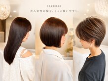 ヘアーデザイン シーベル(HAIR DESIGN SEA BELLE)